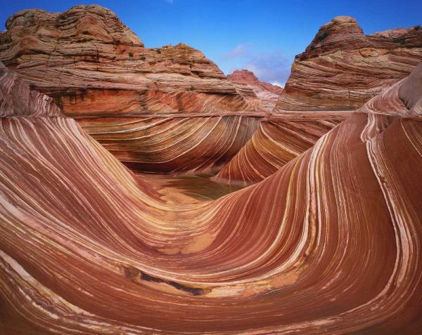 Utah, Paria Canyon The Wave formation, sandstone